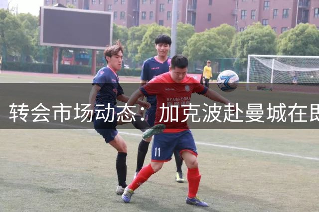 转会市场动态：加克波赴曼城在即 劳塔罗留队成定局